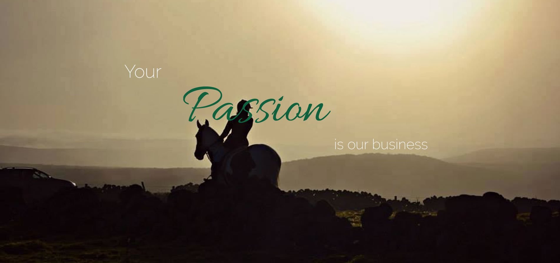 Equestrian solutions