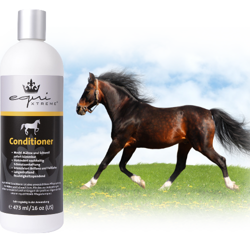 equiXTREME Conditioner